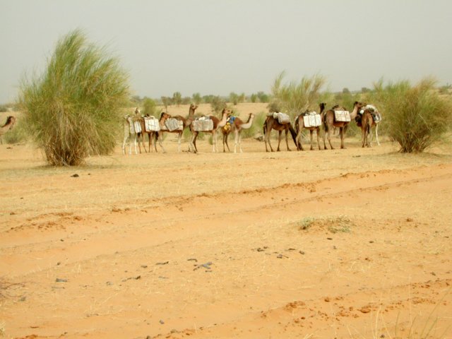 burkina071.jpg